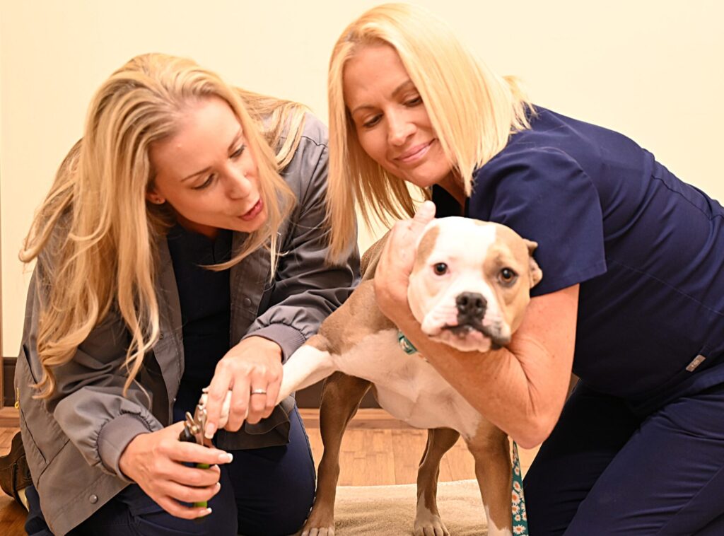 Marja Larissa Pixie NT