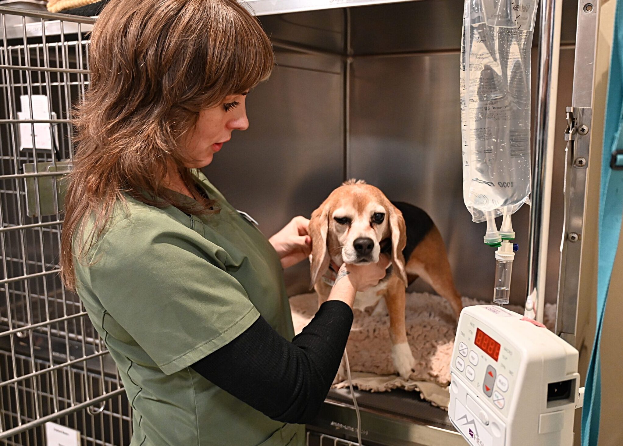 Lilly Paisley kennel