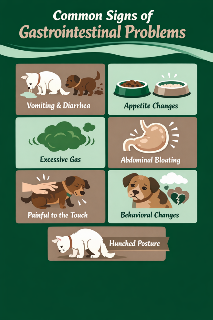 20260218 1711 Image Generation simple compose 01khscvc6wfhmb13mcvsj062tg - Stonebridge Veterinary Wellness