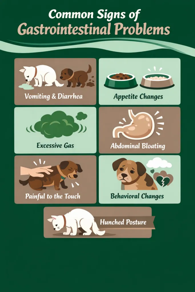 20260218 1711 Image Generation simple compose 01khscvc6wfhmb13mcvsj062tg - Stonebridge Veterinary Wellness