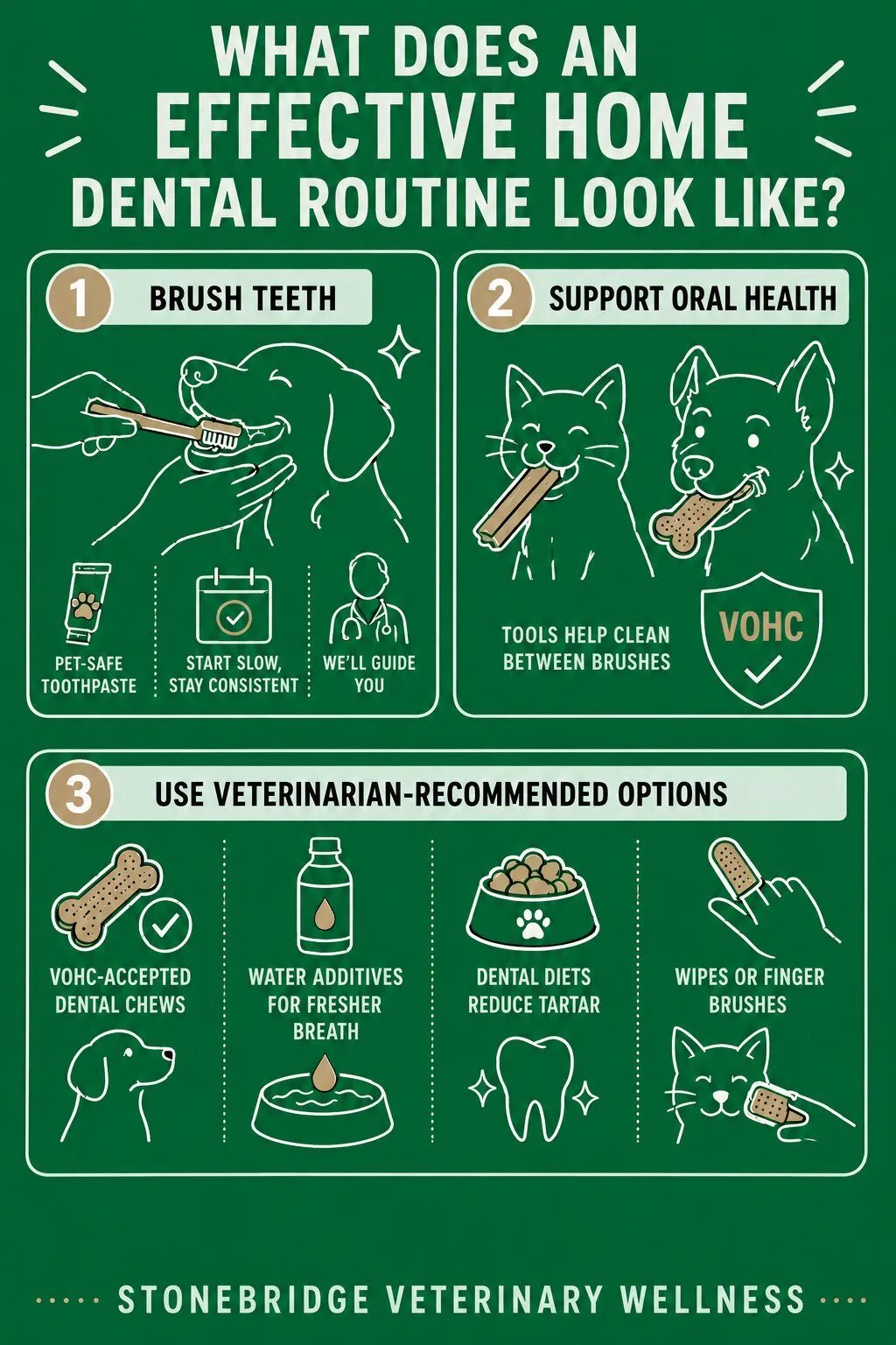 Infographic_What Is the Role of Home Dental Care in Your Pet's Overall Wellness_